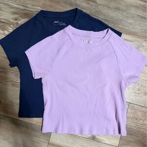 Set of 2 Aerie Cropped Tees